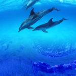 人類を滅ぼした大洪水