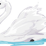 白鳥に変身したキュクノス（白鳥座）の３つのお話